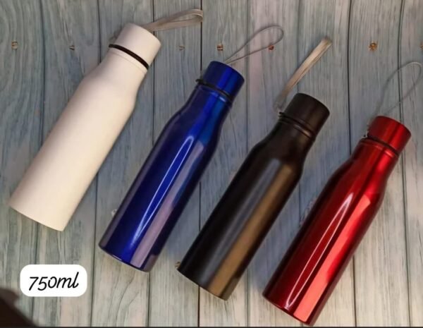 Premium Stainless Steel Water Bottle